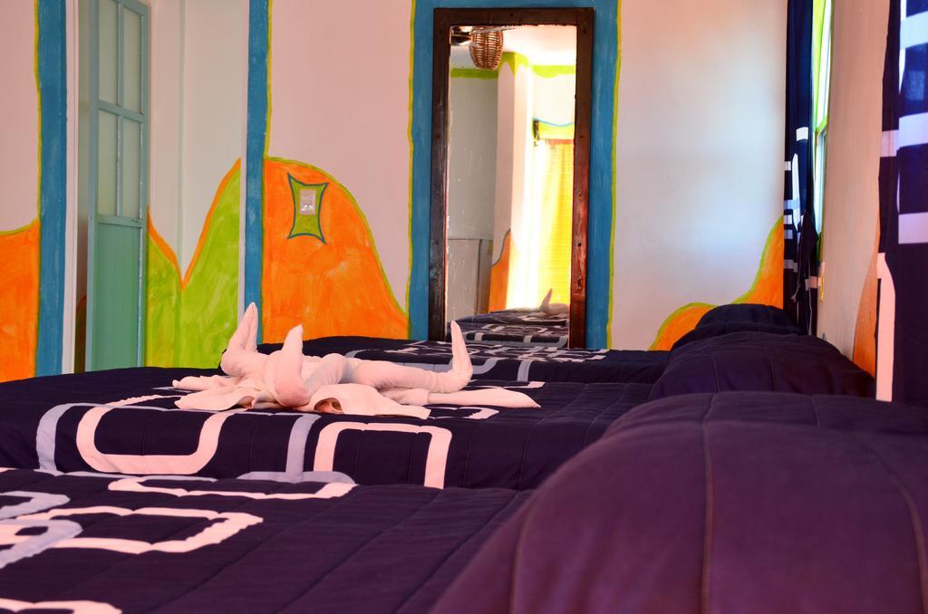 Adventure Experience Hotel Playa del Carmen Dış mekan fotoğraf