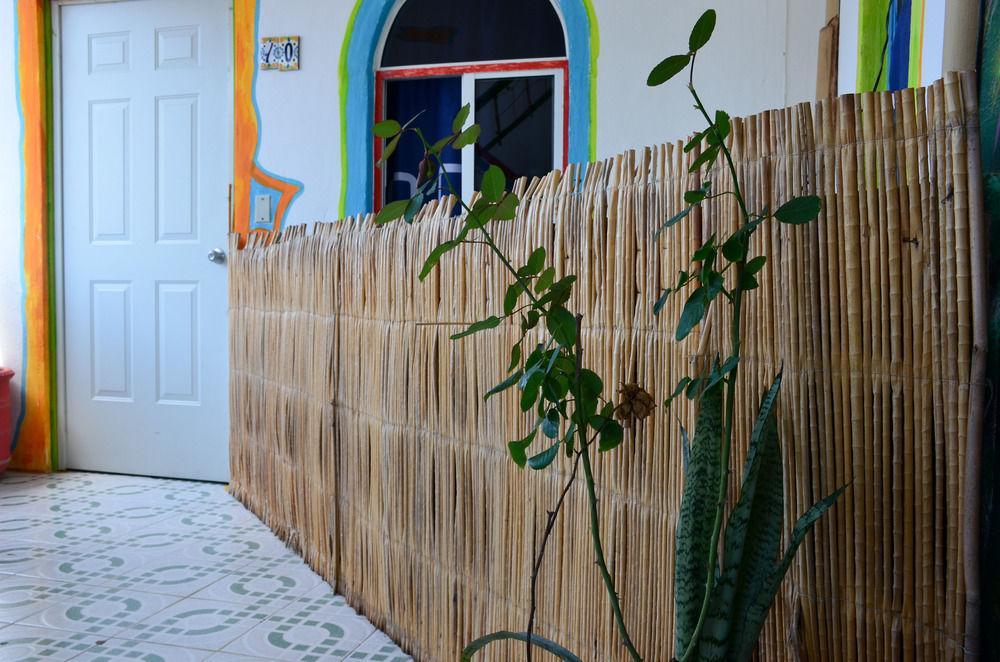 Adventure Experience Hotel Playa del Carmen Dış mekan fotoğraf