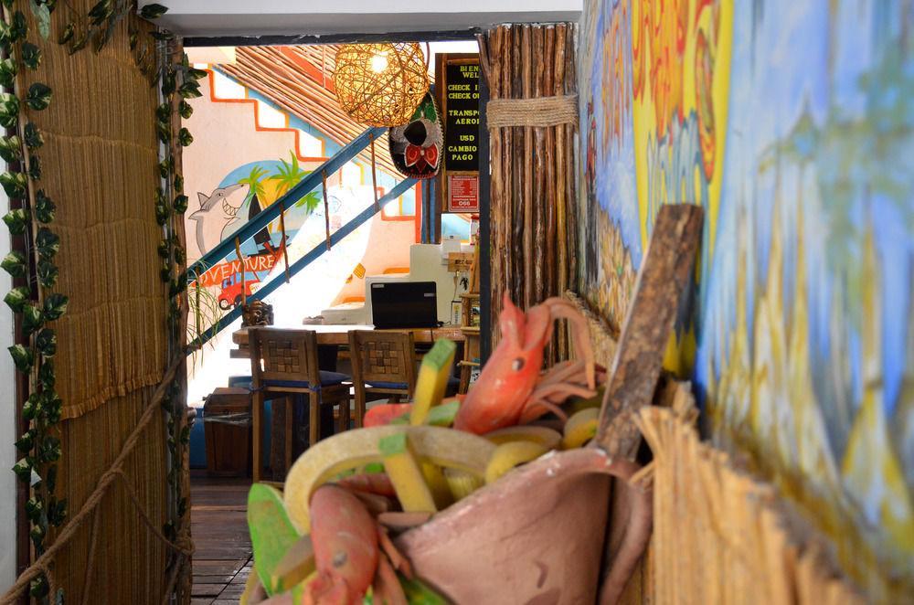 Adventure Experience Hotel Playa del Carmen Dış mekan fotoğraf