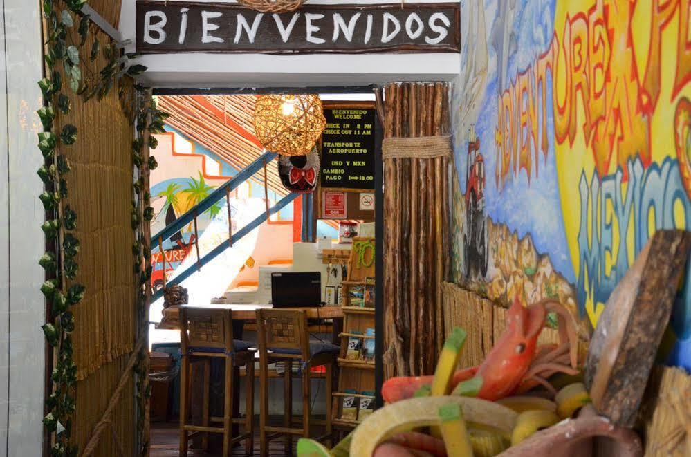 Adventure Experience Hotel Playa del Carmen Dış mekan fotoğraf